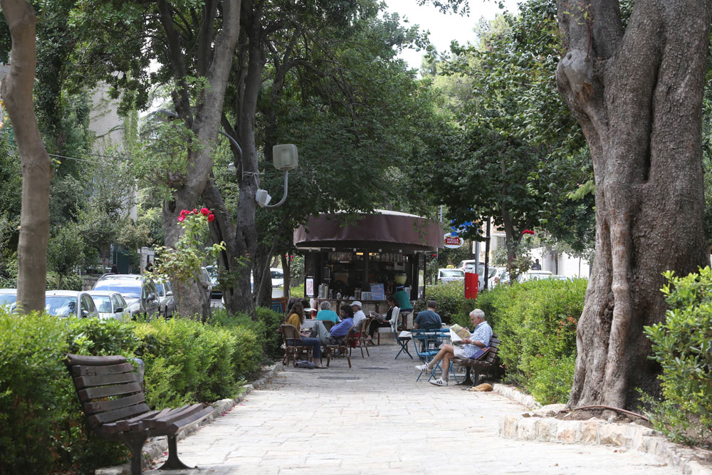 Rechavia Ben Maimon St. Jerusalem Real Estate